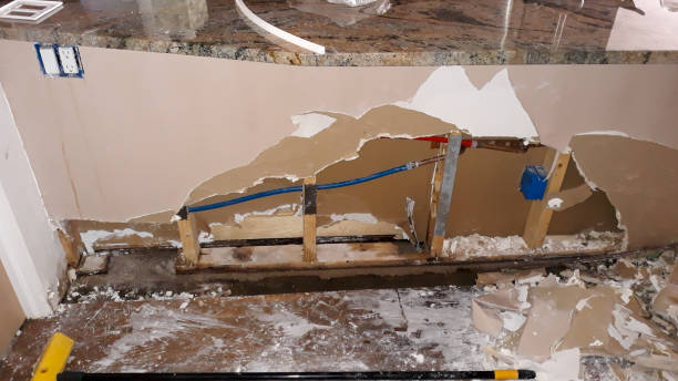 Best Local water damage restoration  in The Colony, TX