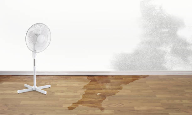  The Colony, TX Water damage restoration Pros