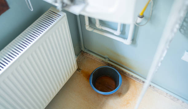 Best Mold removal after water damage  in The Colony, TX